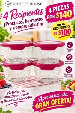 Recipientes princess house