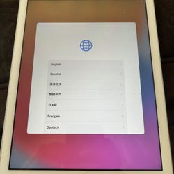 iPad 