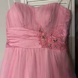 Sparkling Pink Dress 