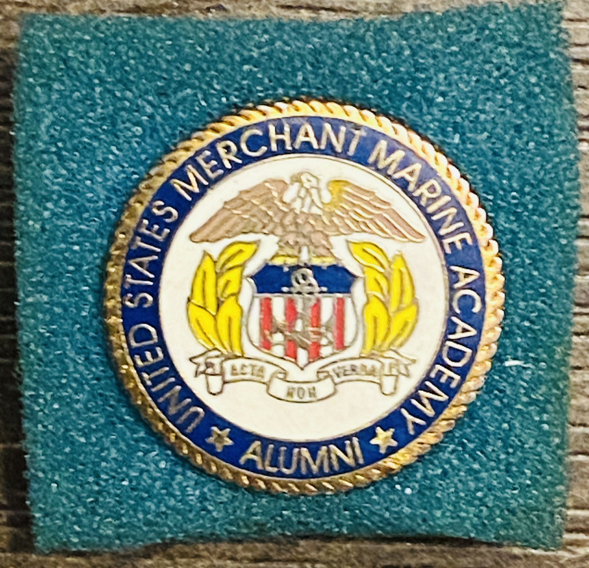 Unitedw States Merchant Marine Academy Alumni Pin