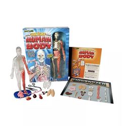 Toy Anatomy Kit, Squishy Human Body Activity Kit For Kids, Learning Game