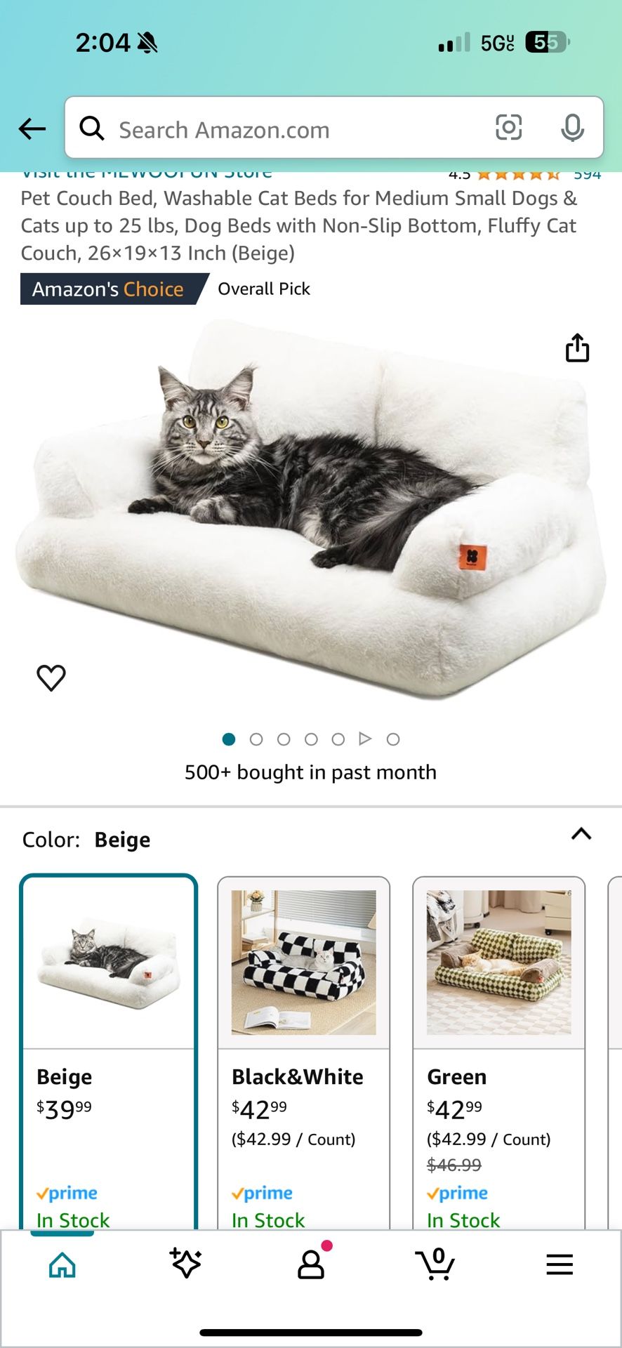 Pet Couch