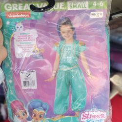 Shimmer And Shine Costume