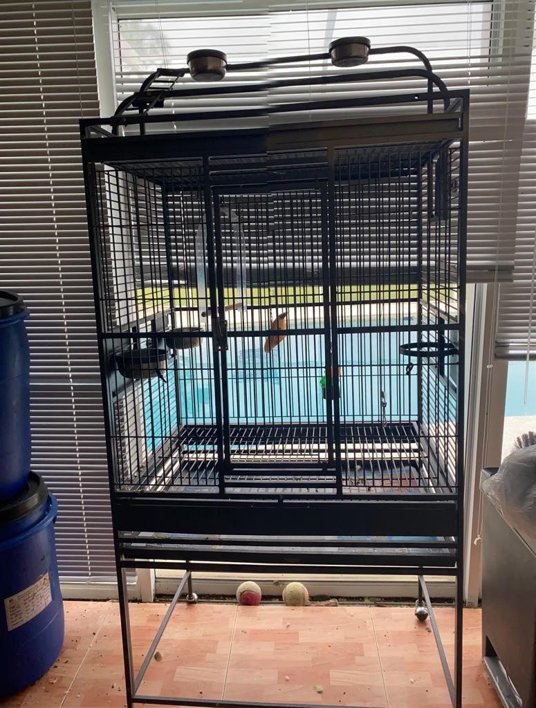 Bird Cage Like New