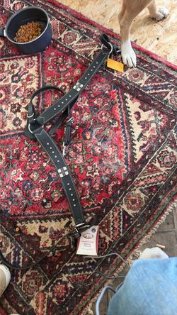 Horse Breast Harness Weaver and Cody apro