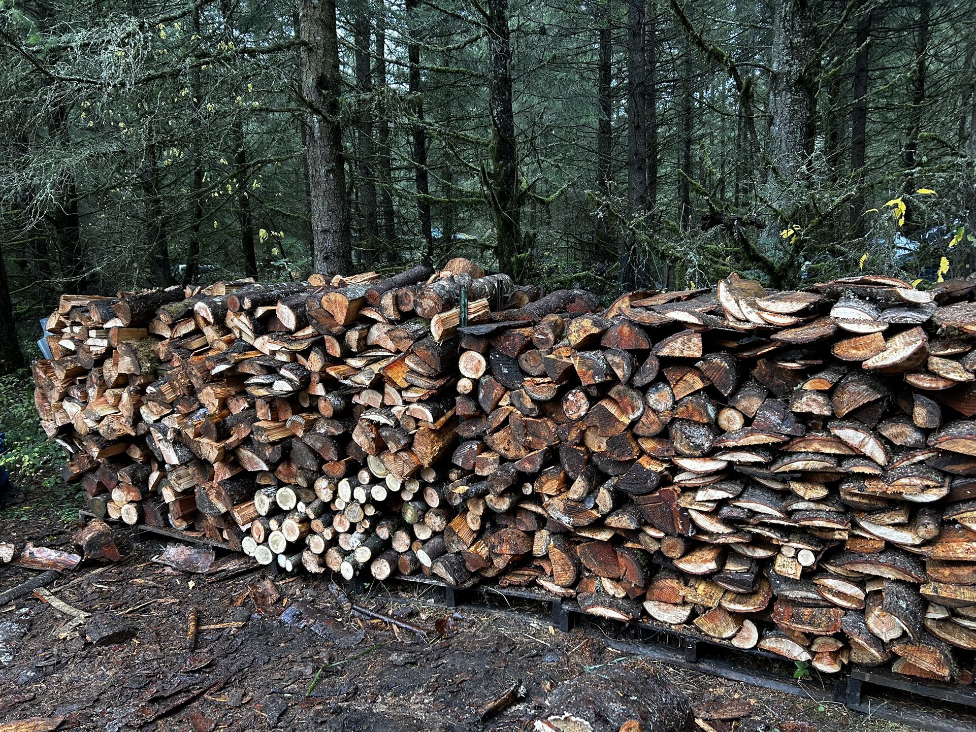 Firewood