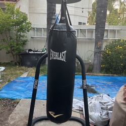 Everlast Punching Bag