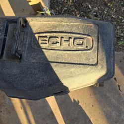 Echo Chainsaw