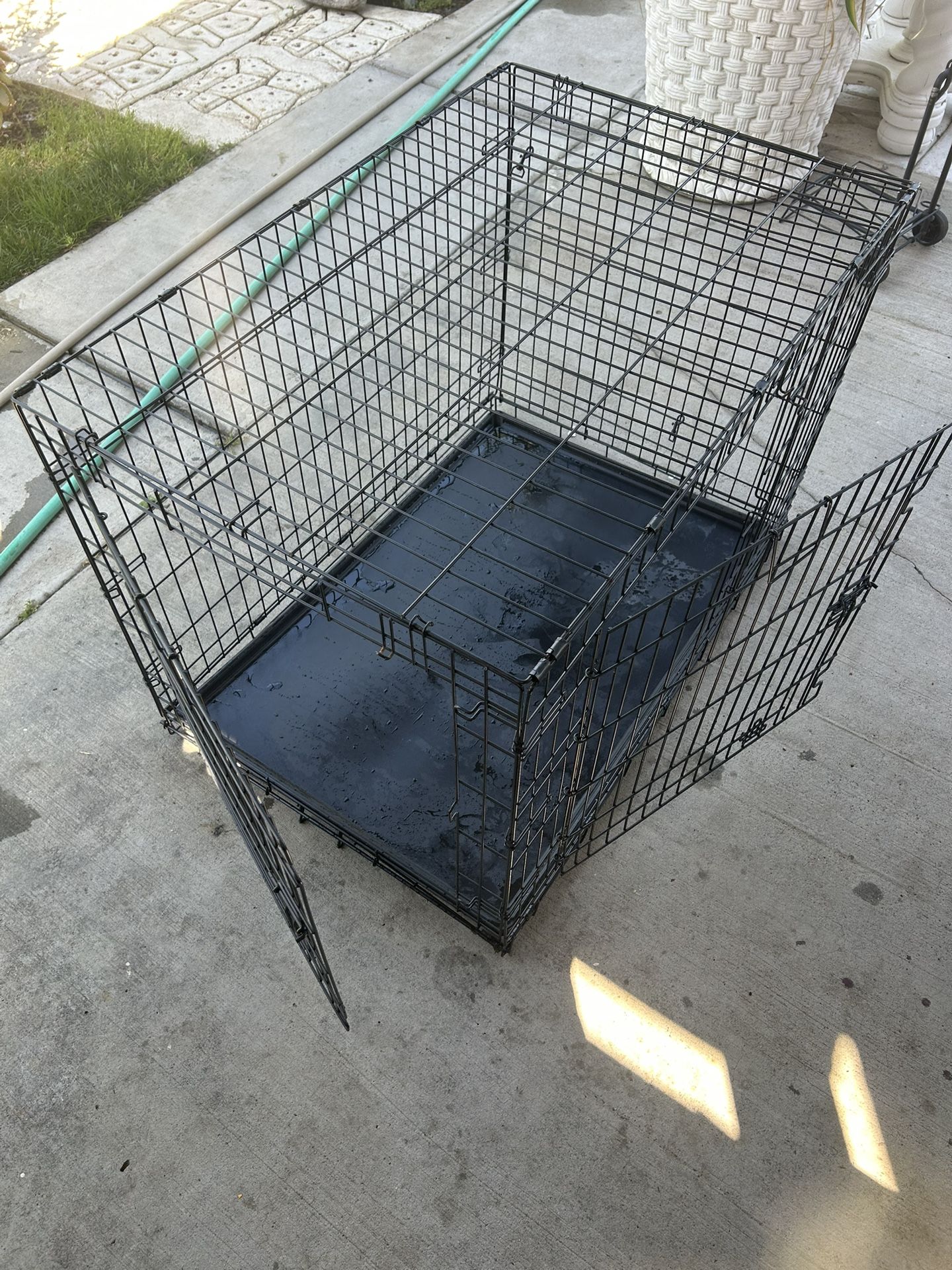 dog cage