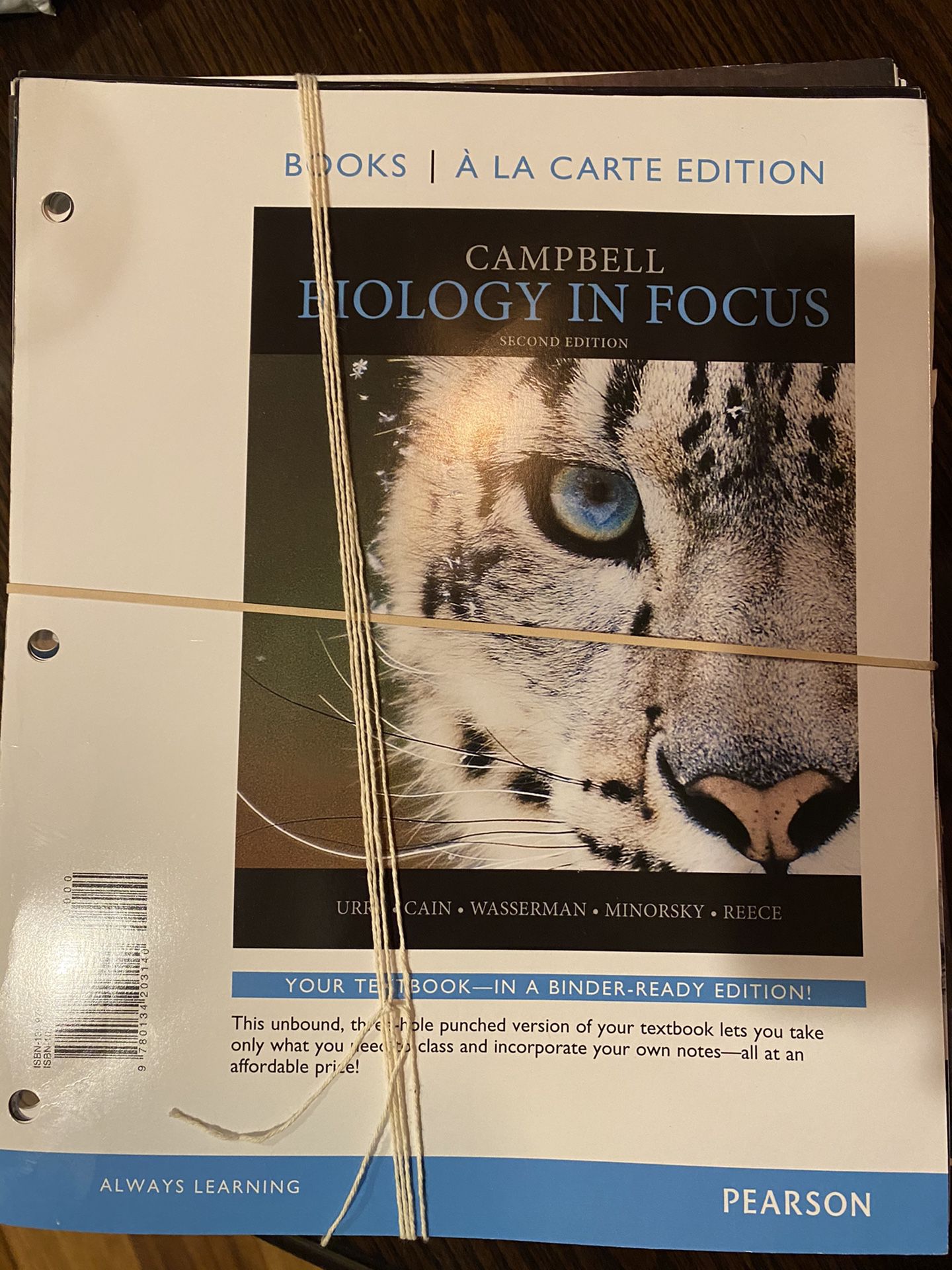 Biology In Focus Campbell