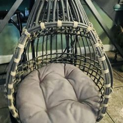 Cat Swing