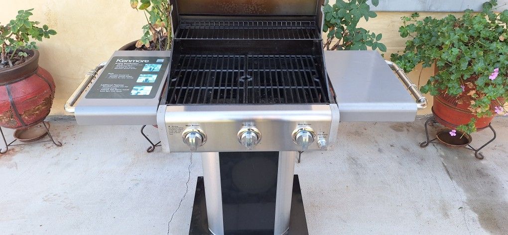 Barbecue Propane Grill 