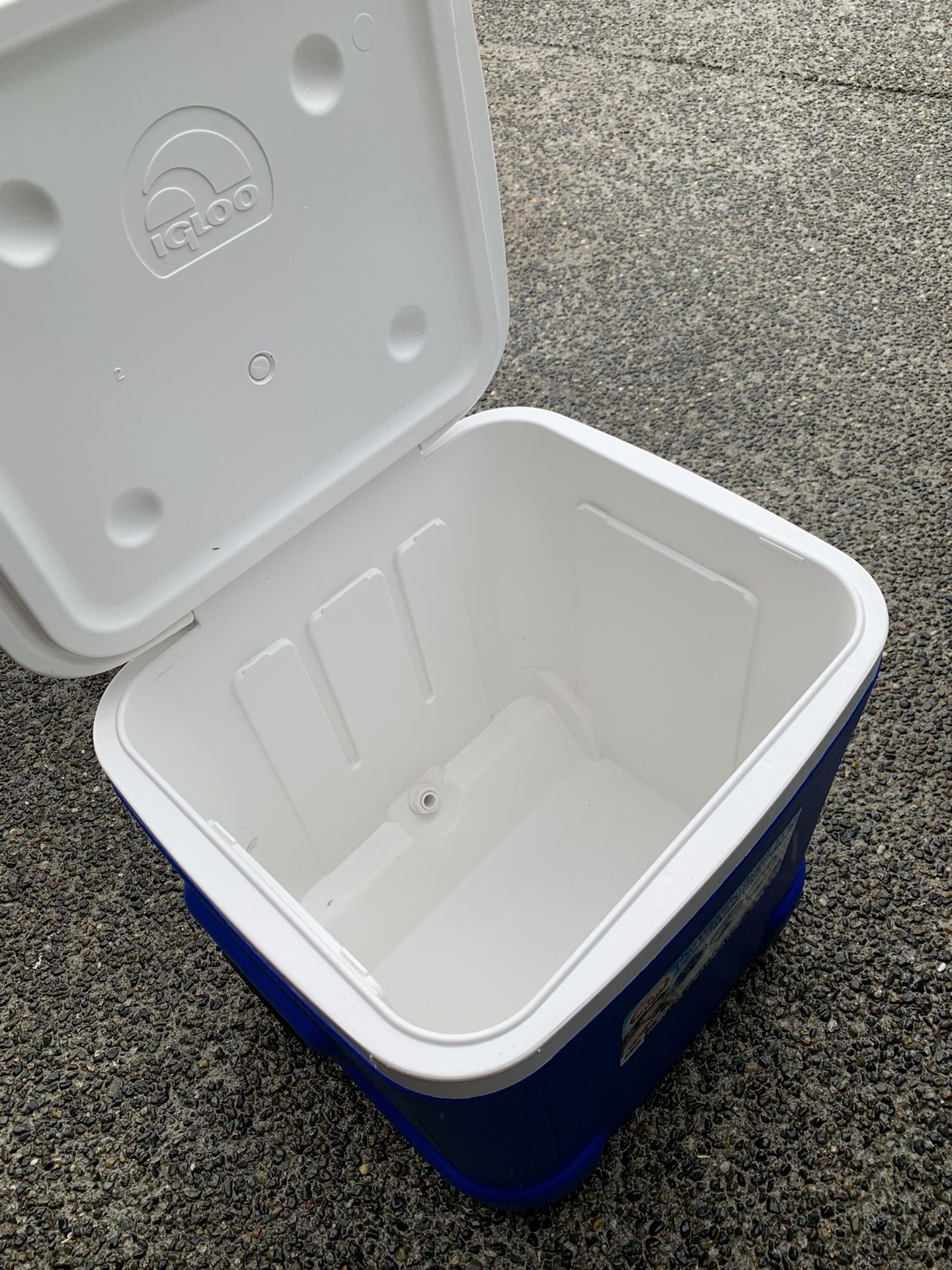 Cooler