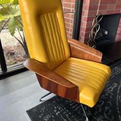 Vintage Mid Century Modern  Murphy Miller Lounge Chair Plycraft  