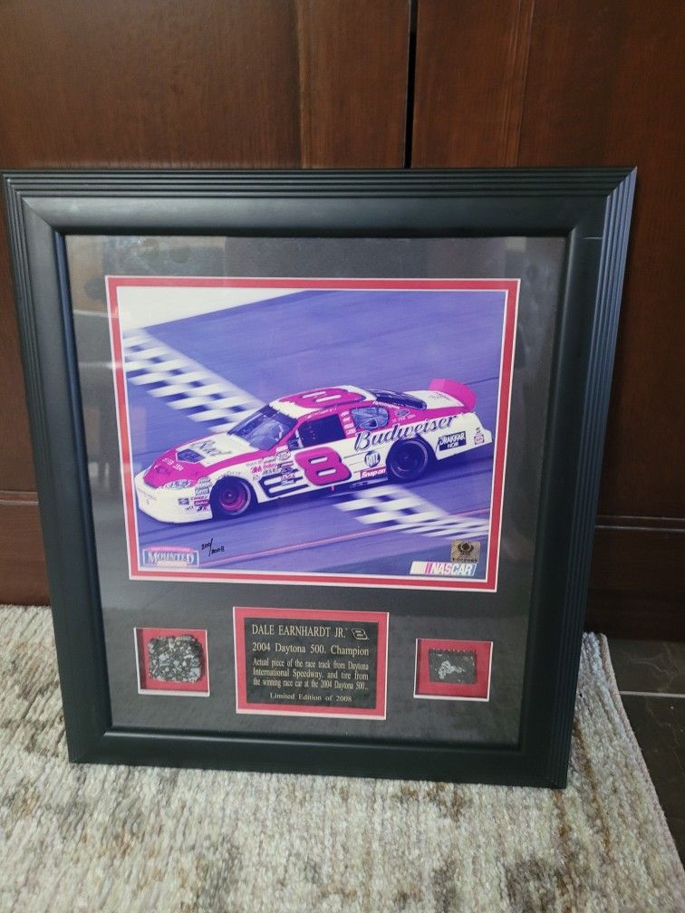 DALE EARNHARDT Jr. # 8 Nascar Black Framed Limited Edition 2008