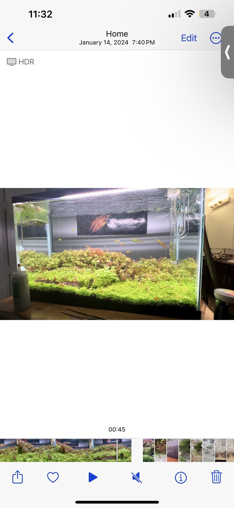 Fish Tank Aquarium