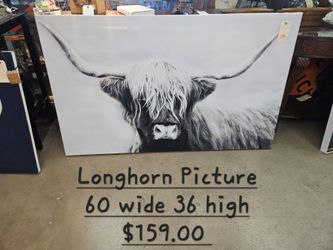 Bull Picture We are located at 2811 East Bell road. Another Time Around Furniture.