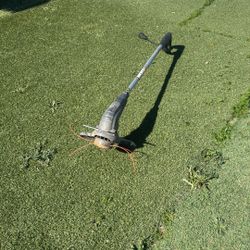 Trimmer Eléctrico  Trabajándo  $ 10  Firme 