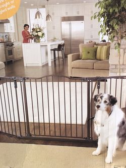 Pet Gate Windsor Arch