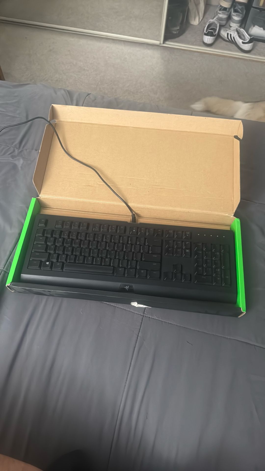 Razer Cynosa Chroma keyboard