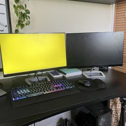 Philips 246E9Q monitors X2