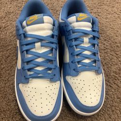Nike Dunk Low Coast 