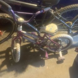 Girls Bike Or Adult Bike Pricing Different Adults $40