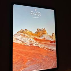 iPad Pro