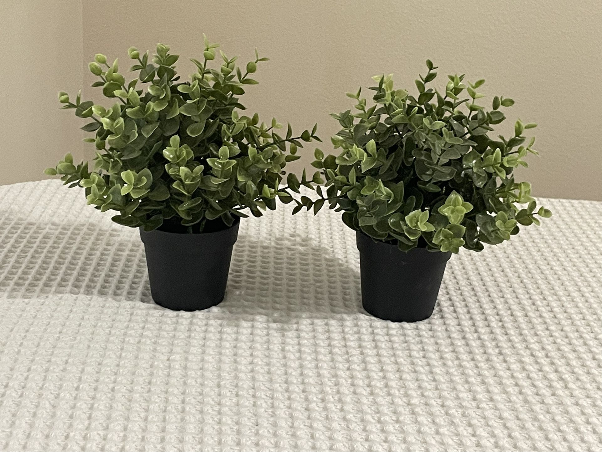 Artificial Succulent Potted Plants by IKEA