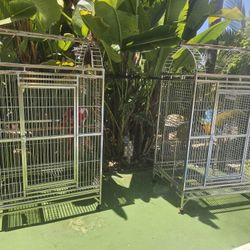 Two Large Stainless Steel Macaw Parrot Cages