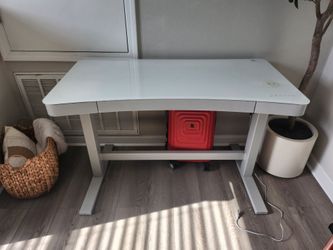 Electric Standing Desk
