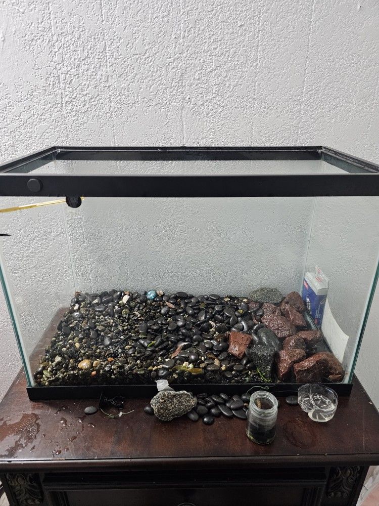 20 Gallon Fish Tank
