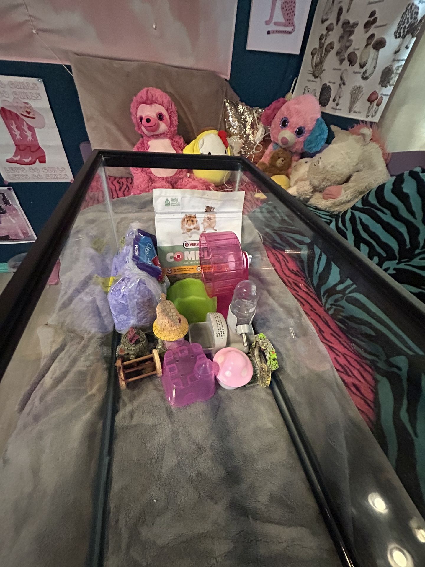 Hamster Cage/ Hamster needs