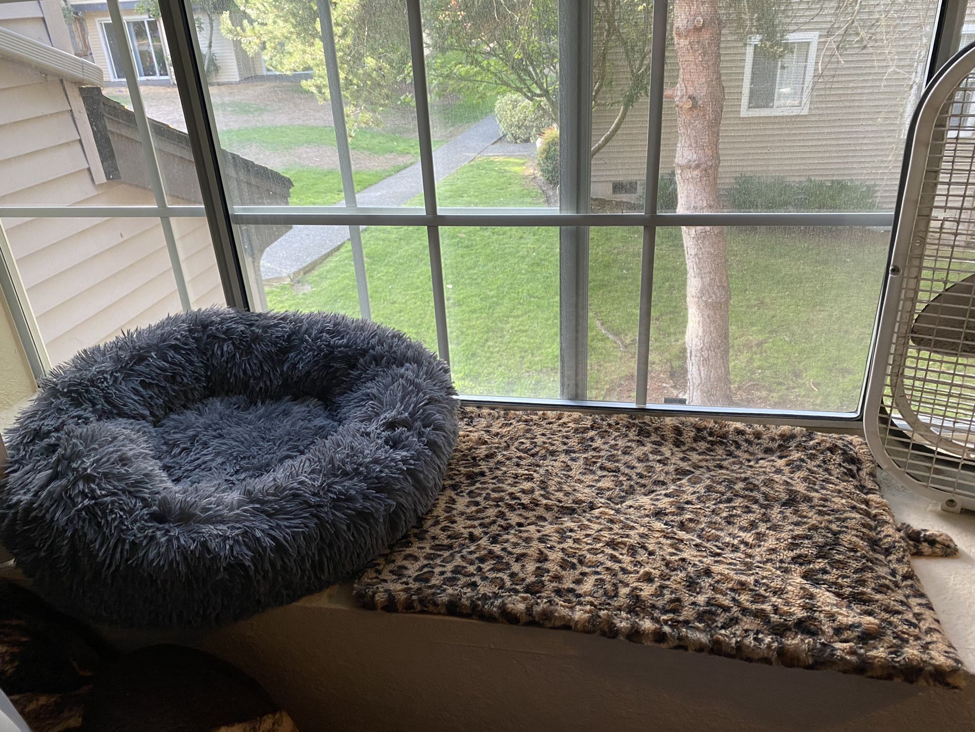 Lightly Used Pet Beds 
