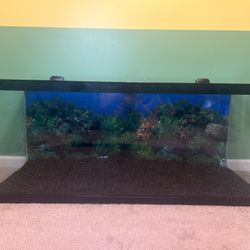 75-Gallon Tank (Lids and Gravel NOT Included) 