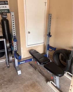 Bench and squat rack