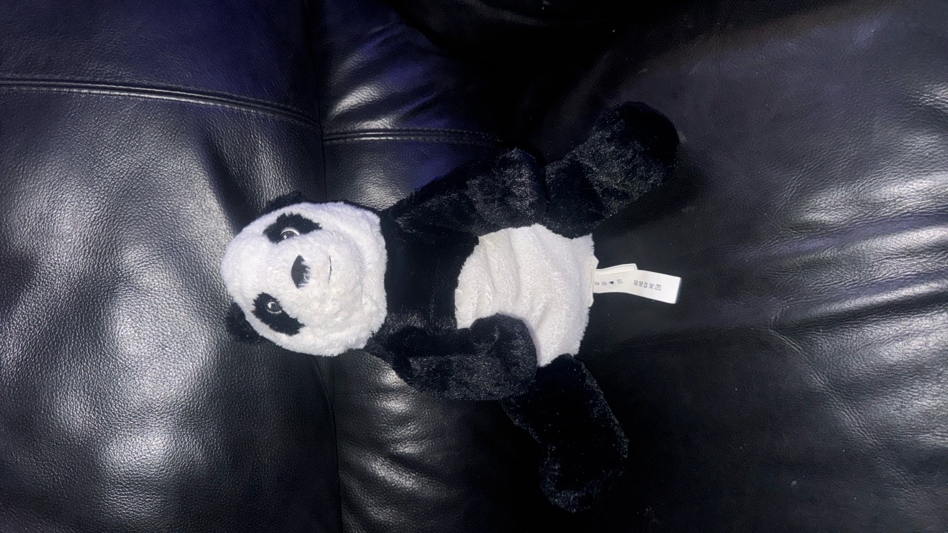 Panda teddy bear