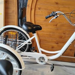 LIKE NEW  10 Speed tricycle $100