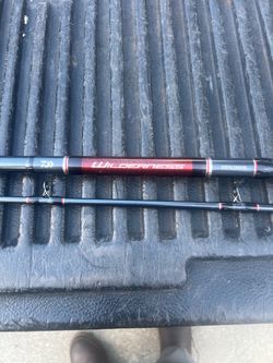 Daiwa wilderness downrigger/trolling rod