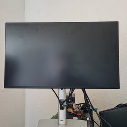 2 Dell Monitors 22"