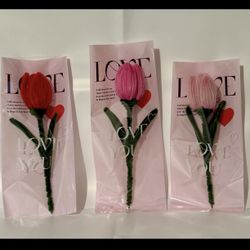 Hand Made Pipecleaner Flowers 