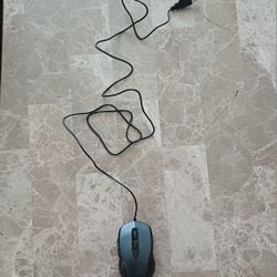 Mouse
