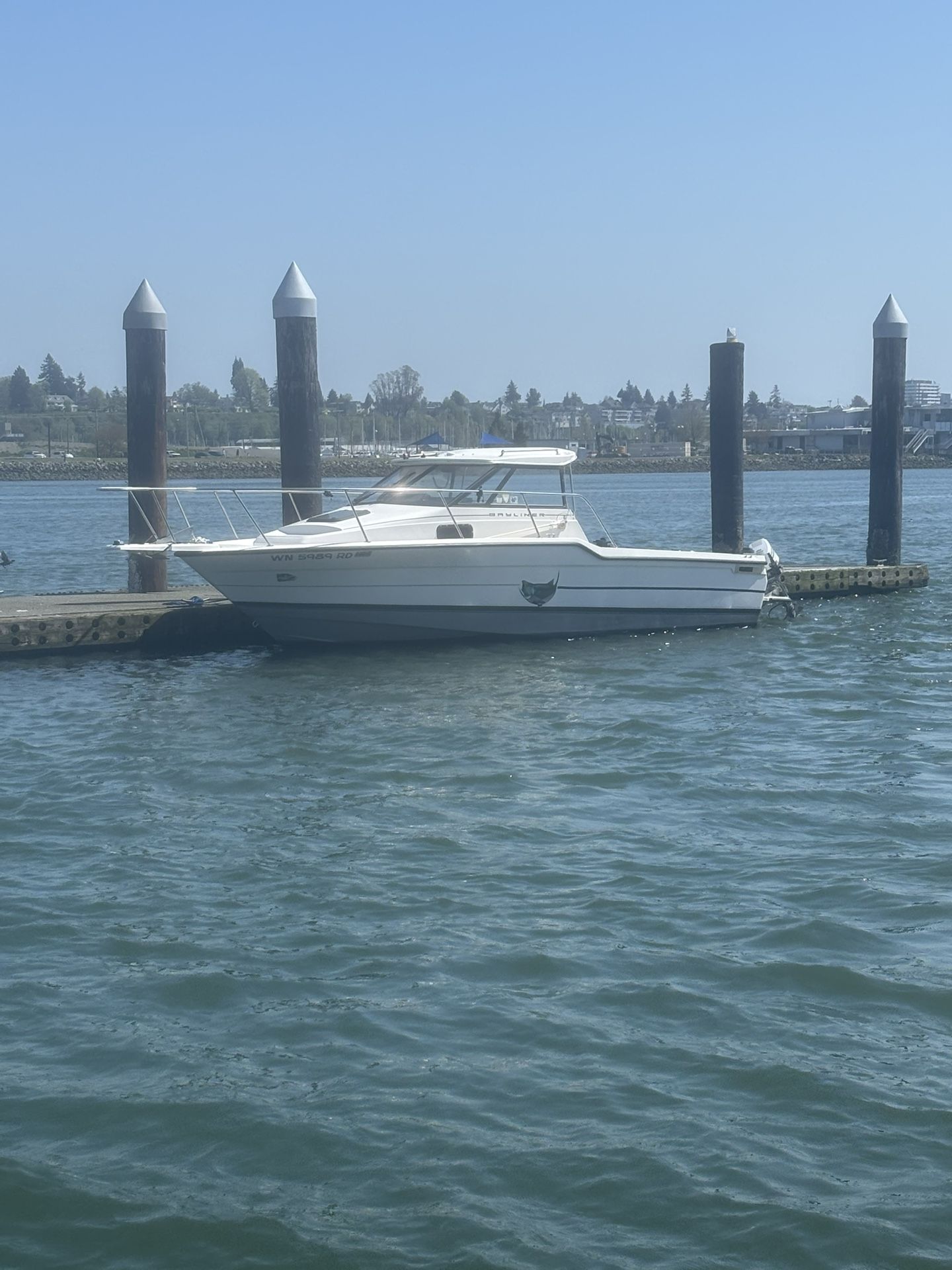 1995 Bayliner Trophy