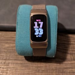 FitBit Charge 6-Silver/Silver Mesh Band $65