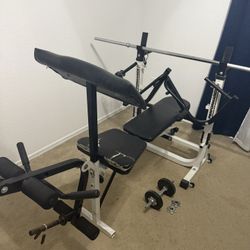 Weight Bench (Performance 355)