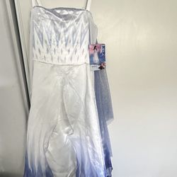 Elsa Size 8-10 $25