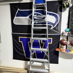 8ft Aluminum Werner Ladder