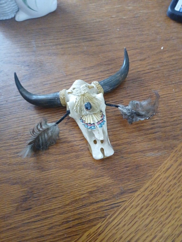 Native American Bull Head