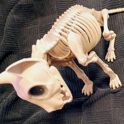Cat Skeleton Decoration 