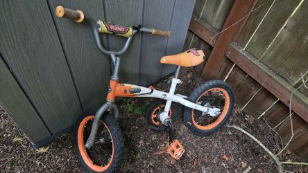 Disney PLANE bike for kids. Balance Bike that can be converted to a bike with Training Wheels